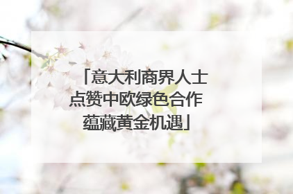 意大利商界人士点赞中欧绿色合作蕴藏黄金机遇