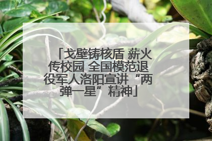 戈壁铸核盾 薪火传校园 全国模范退役军人洛阳宣讲“两弹一星”精神