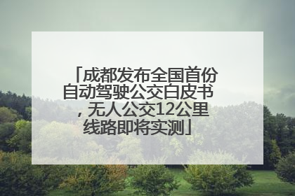 成都发布全国首份自动驾驶公交白皮书，无人公交12公里线路即将实测