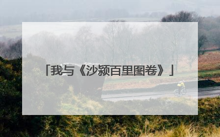我与《沙颍百里图卷》
