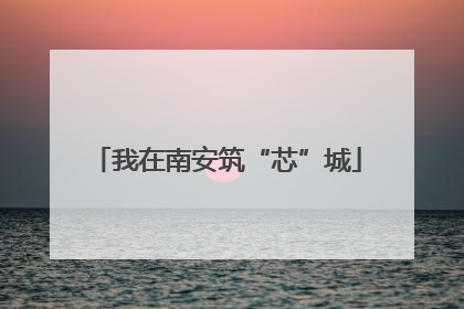 我在南安筑“芯”城