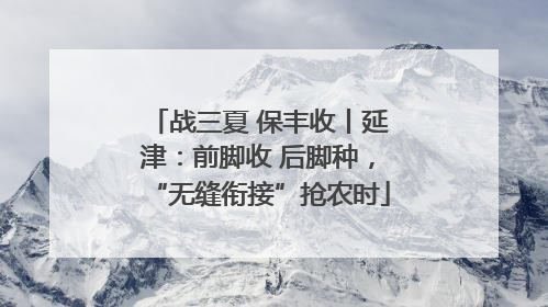 战三夏 保丰收丨延津：前脚收 后脚种，“无缝衔接”抢农时