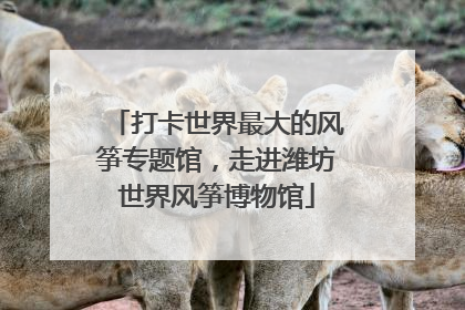 打卡世界最大的风筝专题馆，走进潍坊世界风筝博物馆