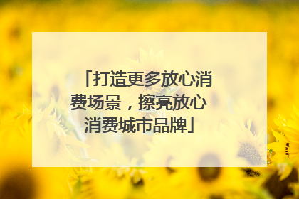 打造更多放心消费场景，擦亮放心消费城市品牌