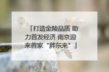打造金陵品质 助力首发经济 南京迎来首家“胖东来”