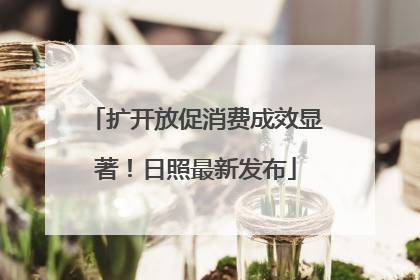 扩开放促消费成效显著！日照最新发布