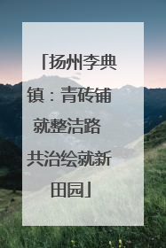 扬州李典镇：青砖铺就整洁路 共治绘就新田园