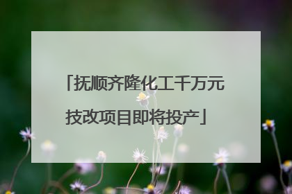 抚顺齐隆化工千万元技改项目即将投产