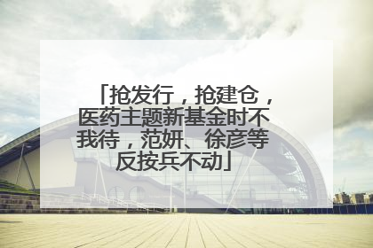 抢发行，抢建仓，医药主题新基金时不我待，范妍、徐彦等反按兵不动