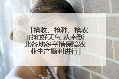 抢收、抢种、抢农时和好天气 从南到北各地多举措保障农业生产顺利进行