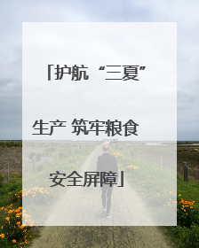 护航“三夏”生产 筑牢粮食安全屏障