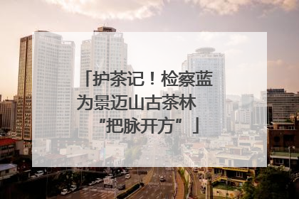 护茶记！检察蓝为景迈山古茶林 “把脉开方”