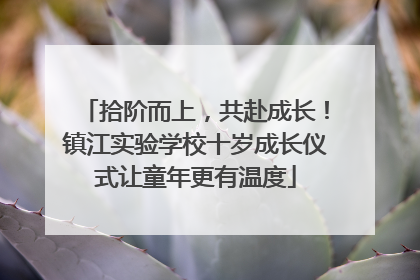 拾阶而上，共赴成长！镇江实验学校十岁成长仪式让童年更有温度
