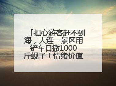 担心游客赶不到海，大连一景区用铲车日撒1000斤蚬子！情绪价值拉满！