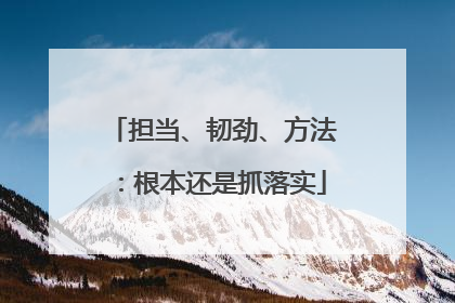 担当、韧劲、方法：根本还是抓落实