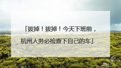 拔掉！拔掉！今天下班前，杭州人务必检查下自己的车