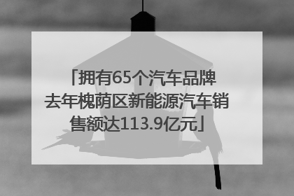 拥有65个汽车品牌 去年槐荫区新能源汽车销售额达113.9亿元