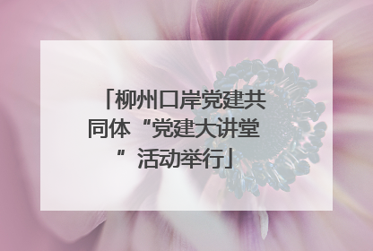 柳州口岸党建共同体“党建大讲堂”活动举行