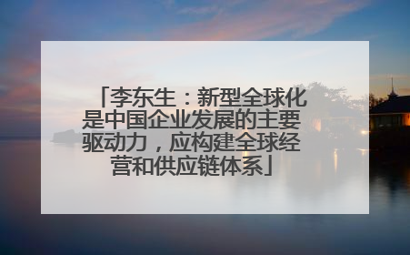 李东生：新型全球化是中国企业发展的主要驱动力，应构建全球经营和供应链体系