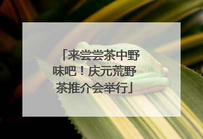 来尝尝茶中野味吧！庆元荒野茶推介会举行