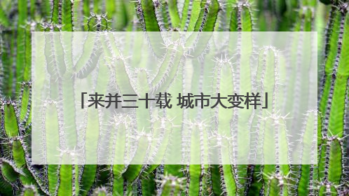 来并三十载 城市大变样