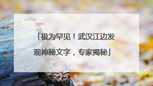 极为罕见！武汉江边发现神秘文字，专家揭秘