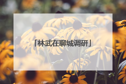 林武在聊城调研