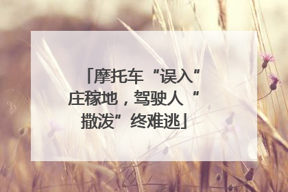 摩托车“误入”庄稼地，驾驶人“撒泼”终难逃
