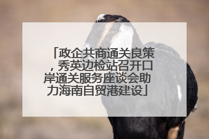 政企共商通关良策，秀英边检站召开口岸通关服务座谈会助力海南自贸港建设