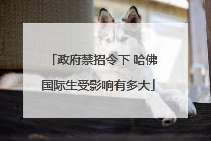 政府禁招令下 哈佛国际生受影响有多大
