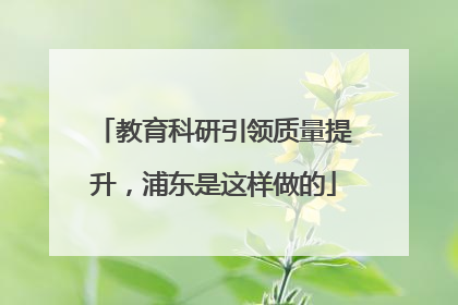 教育科研引领质量提升，浦东是这样做的
