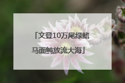 文登10万尾绿鳍马面鲀放流大海