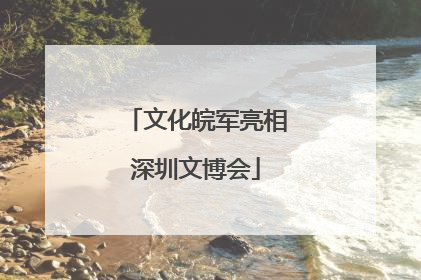 文化皖军亮相深圳文博会
