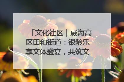 文化社区｜威海高区田和街道：银龄乐享文体盛宴，共筑文化社区幸福共同体