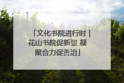 文化书院进行时｜花山书院促新景 凝聚合力促善治