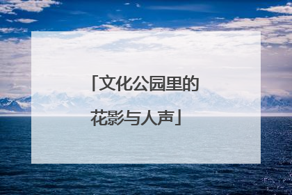 文化公园里的花影与人声