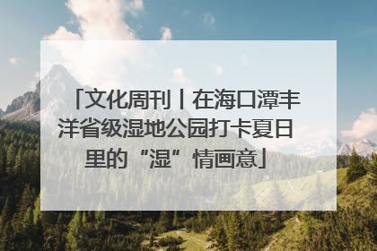 文化周刊丨在海口潭丰洋省级湿地公园打卡夏日里的“湿”情画意
