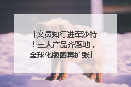 文员知行进军沙特！三大产品齐落地，全球化版图再扩张