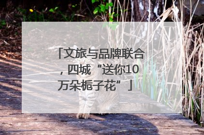 文旅与品牌联合，四城“送你10万朵栀子花”