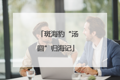 斑海豹“汤圆”归海记