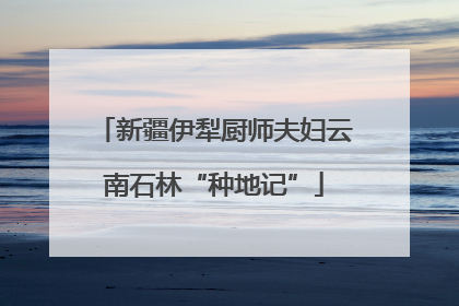 新疆伊犁厨师夫妇云南石林“种地记”
