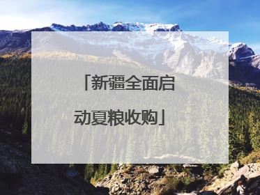 新疆全面启动夏粮收购