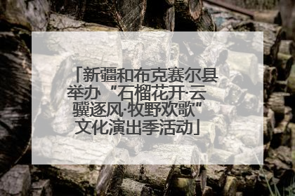 新疆和布克赛尔县举办“石榴花开·云骥逐风·牧野欢歌”文化演出季活动