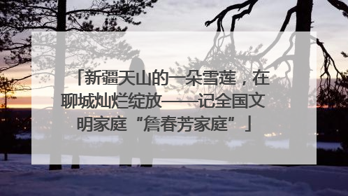 新疆天山的一朵雪莲，在聊城灿烂绽放——记全国文明家庭“詹春芳家庭”