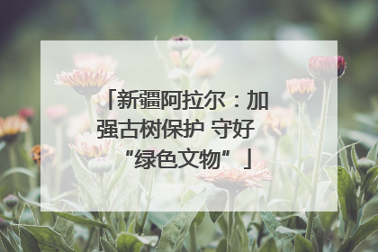 新疆阿拉尔：加强古树保护 守好“绿色文物”