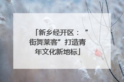 新乡经开区：“街舞莱客”打造青年文化新地标