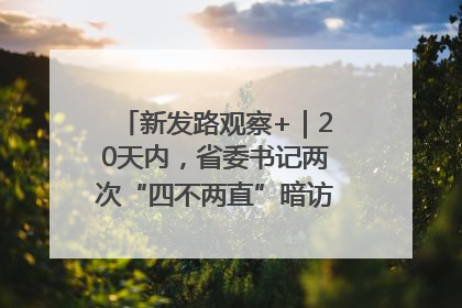 新发路观察+｜20天内，省委书记两次“四不两直”暗访，有何深意？