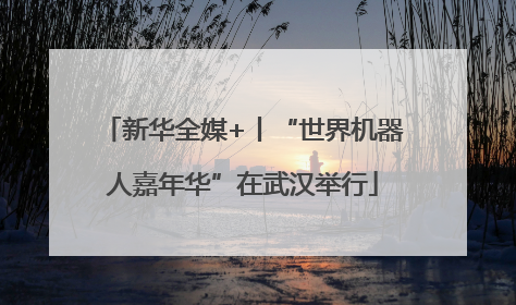 新华全媒+丨“世界机器人嘉年华”在武汉举行