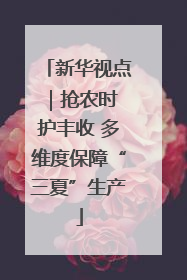 新华视点｜抢农时 护丰收 多维度保障“三夏”生产