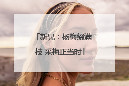 新晃：杨梅缀满枝 采梅正当时